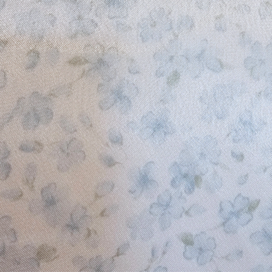 fantasies by morgan taylor ivory & blue floral button down